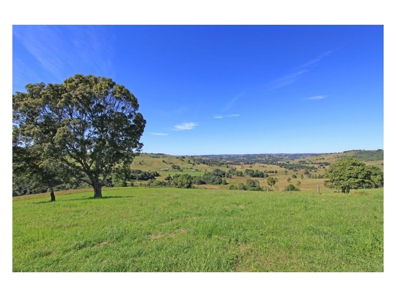 206 Cross Road, Numulgi NSW 2480