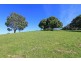 206 Cross Road, Numulgi NSW 2480