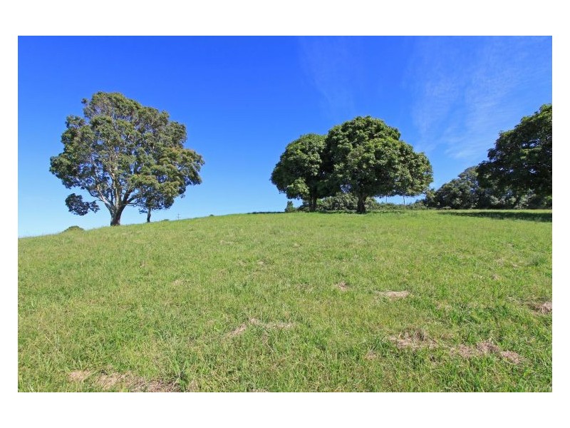 206 Cross Road, Numulgi NSW 2480