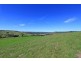 206 Cross Road, Numulgi NSW 2480