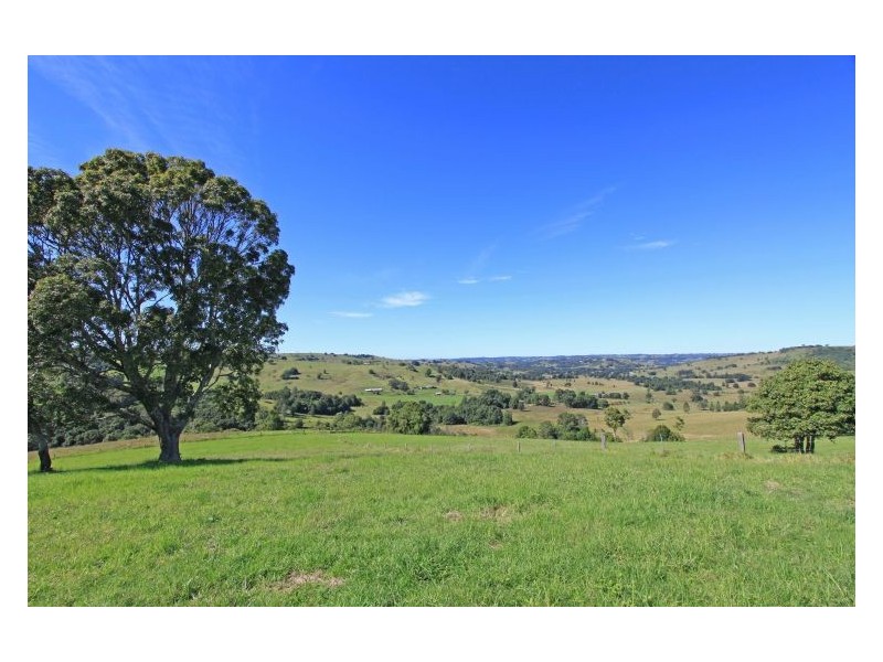 206 Cross Road, Numulgi NSW 2480