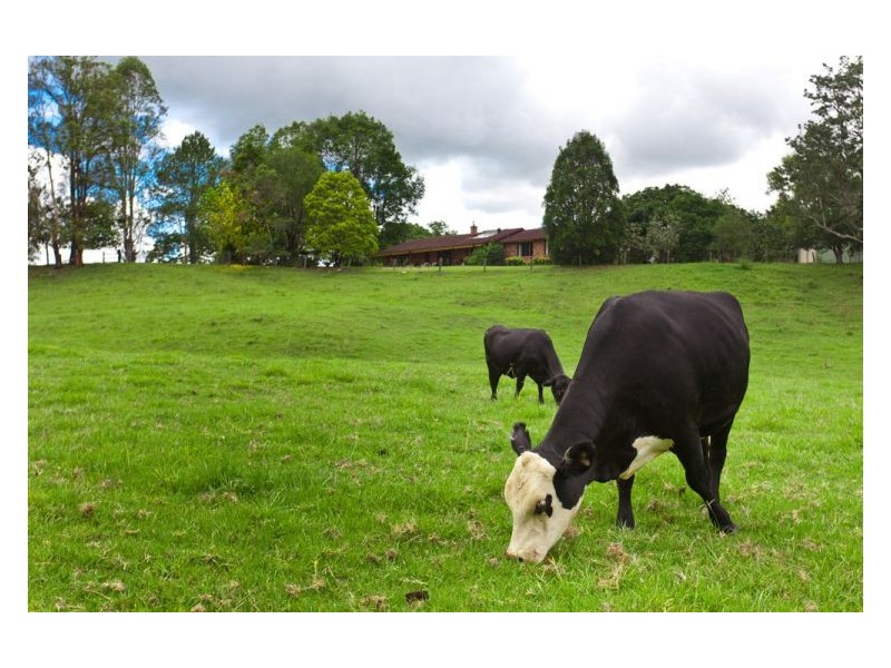 391 The Channon Road, The Channon NSW 2480