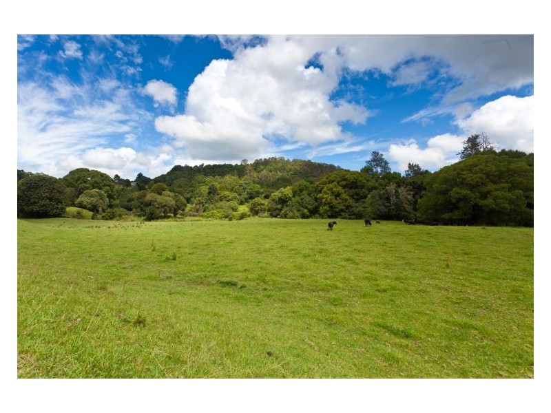 391 The Channon Road, The Channon NSW 2480