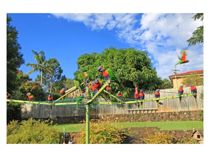 18 Sunset Drive, Goonellabah NSW 2480