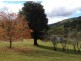 295 Gungas Road, Nimbin NSW 2480