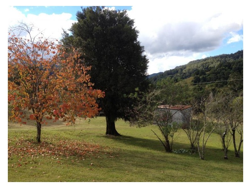 295 Gungas Road, Nimbin NSW 2480