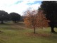 295 Gungas Road, Nimbin NSW 2480