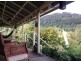 295 Gungas Road, Nimbin NSW 2480