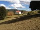 295 Gungas Road, Nimbin NSW 2480