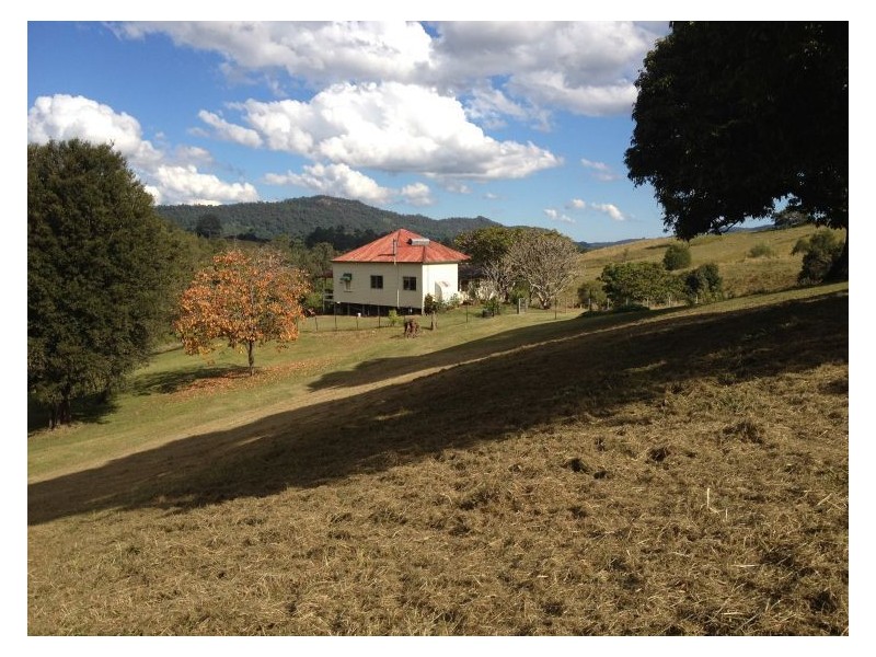 295 Gungas Road, Nimbin NSW 2480