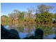 1041 Wyrallah Road, Wyrallah NSW 2480