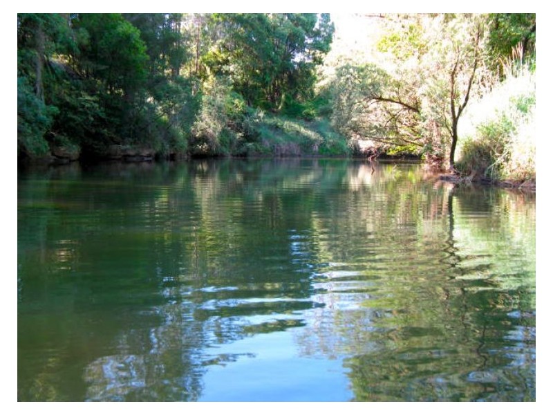 602 Cawongla Road, Larnook NSW 2480