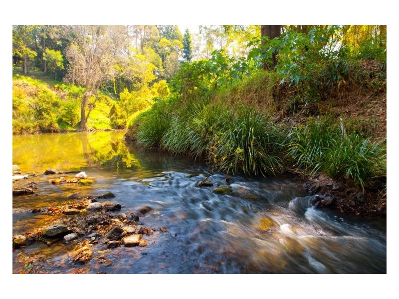 602 Cawongla Road, Larnook NSW 2480