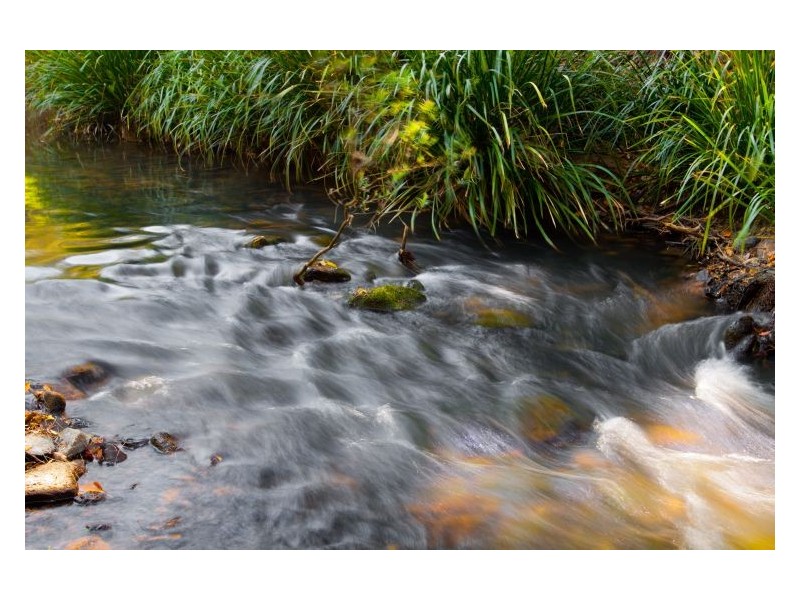 602 Cawongla Road, Larnook NSW 2480