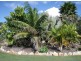 197 Reardons Lane, Swan Bay NSW 2471