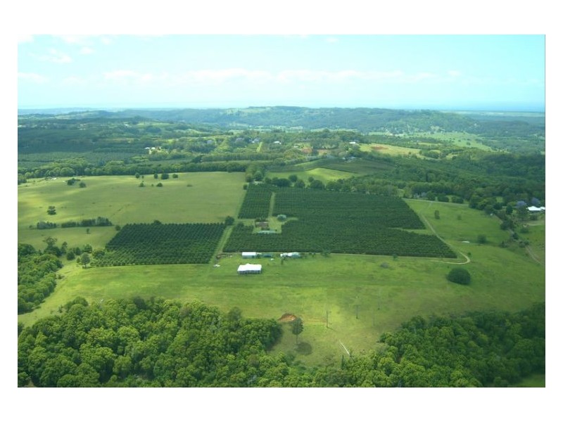 242 Cooks Lane, Dalwood NSW 2477