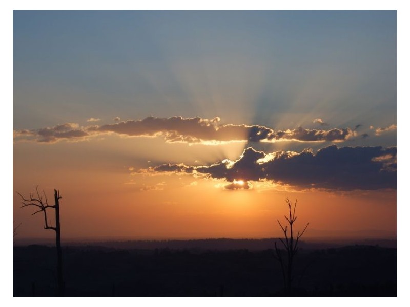 242 Cooks Lane, Dalwood NSW 2477