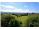 305 Rose Rd, The Channon NSW 2480