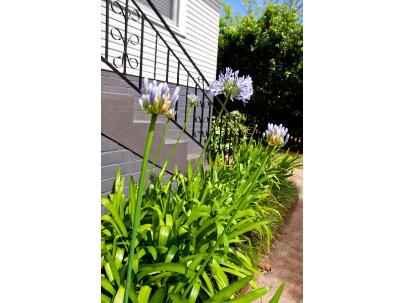 96 Wyrallah Road, East Lismore NSW 2480