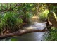 306 Tucki Road, Marom Creek NSW 2480