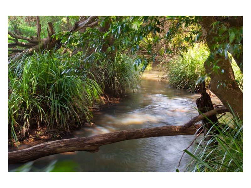 306 Tucki Road, Marom Creek NSW 2480