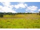 306 Tucki Road, Marom Creek NSW 2480
