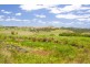 306 Tucki Road, Marom Creek NSW 2480