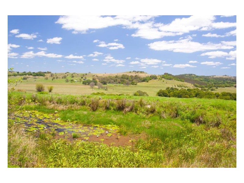 306 Tucki Road, Marom Creek NSW 2480