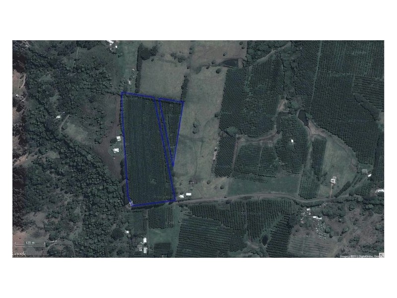 144 Fraser Road, Dunoon NSW 2480