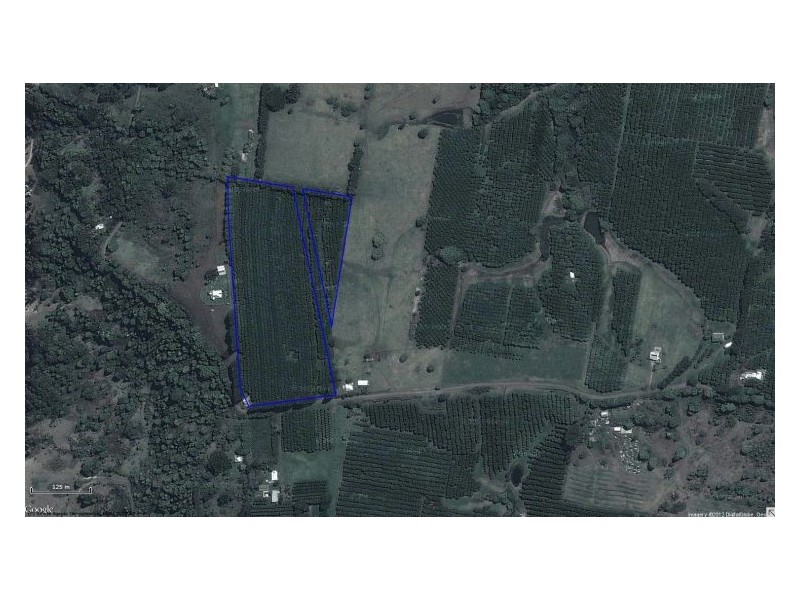 144 Fraser Road, Dunoon NSW 2480