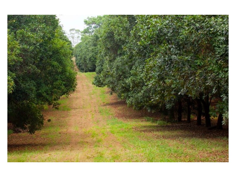 144 Fraser Road, Dunoon NSW 2480