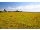 Lot 2 Moffitts Lane, Bora Ridge NSW 2471
