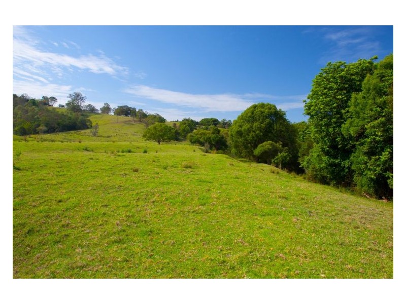 1241 Keerrong Road, Keerrong NSW 2480