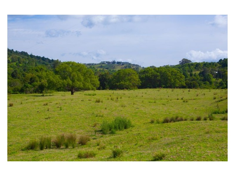 1241 Keerrong Road, Keerrong NSW 2480