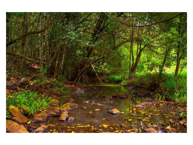 Lot 32, 5 Donaghue Street, Dunoon NSW 2480