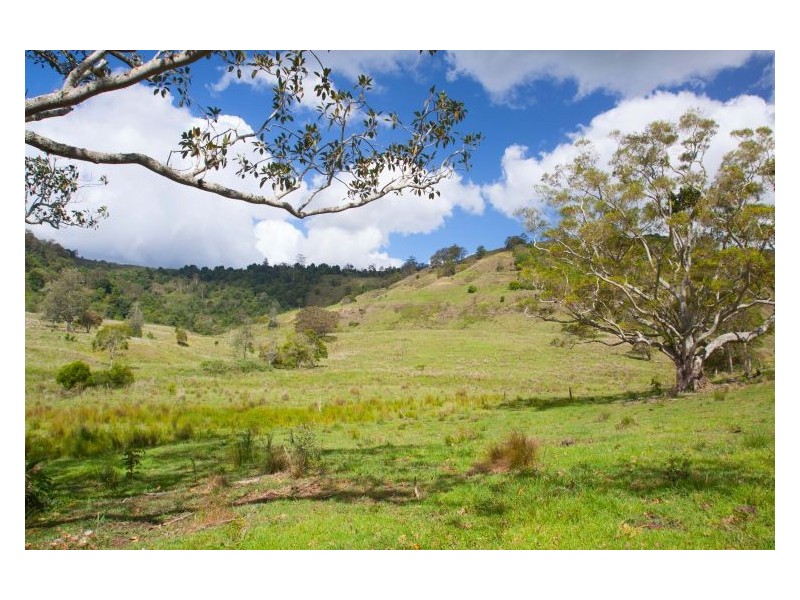 25 & 29 Swift Road, Coffee Camp NSW 2480