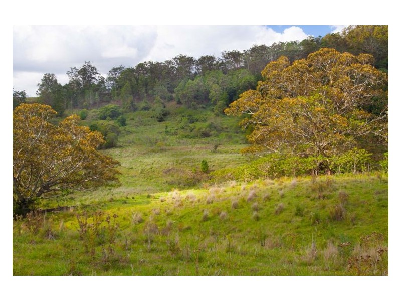 25 & 29 Swift Road, Coffee Camp NSW 2480