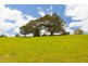 Lot 2 Dunoon Road, Tullera NSW 2480
