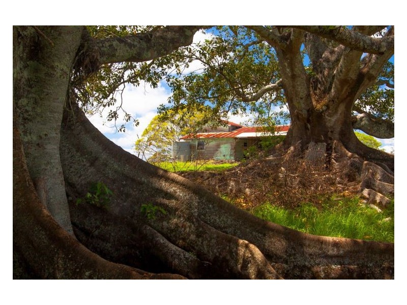 Lot 2 Dunoon Road, Tullera NSW 2480