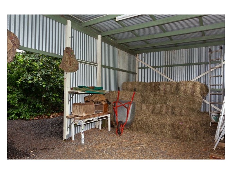 412 Whian Whian Road, Whian Whian NSW 2480