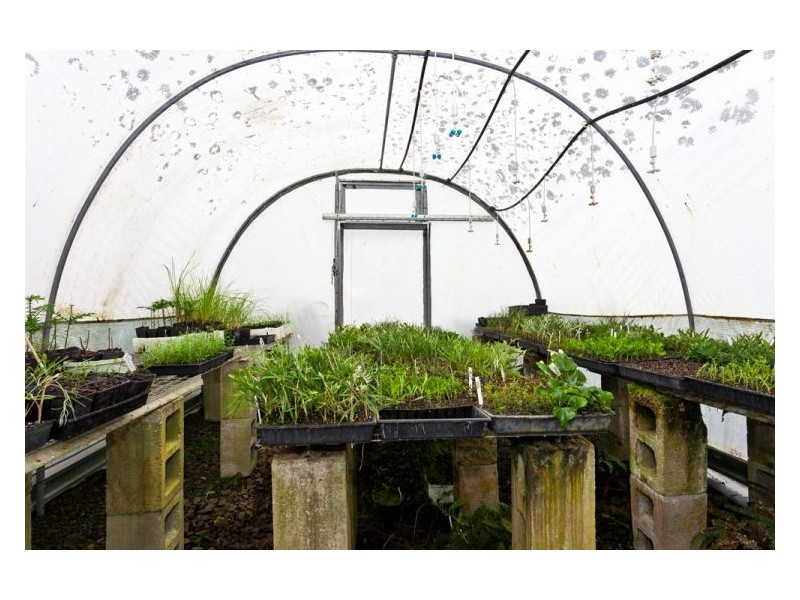 412 Whian Whian Road, Whian Whian NSW 2480