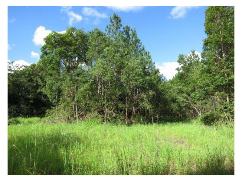 1 Gap Road, Alstonville NSW 2477