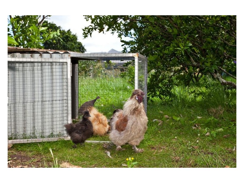 2 Mcinnes Road, Mckees Hill NSW 2480