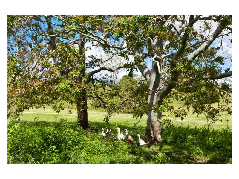 2 Mcinnes Road, Mckees Hill NSW 2480