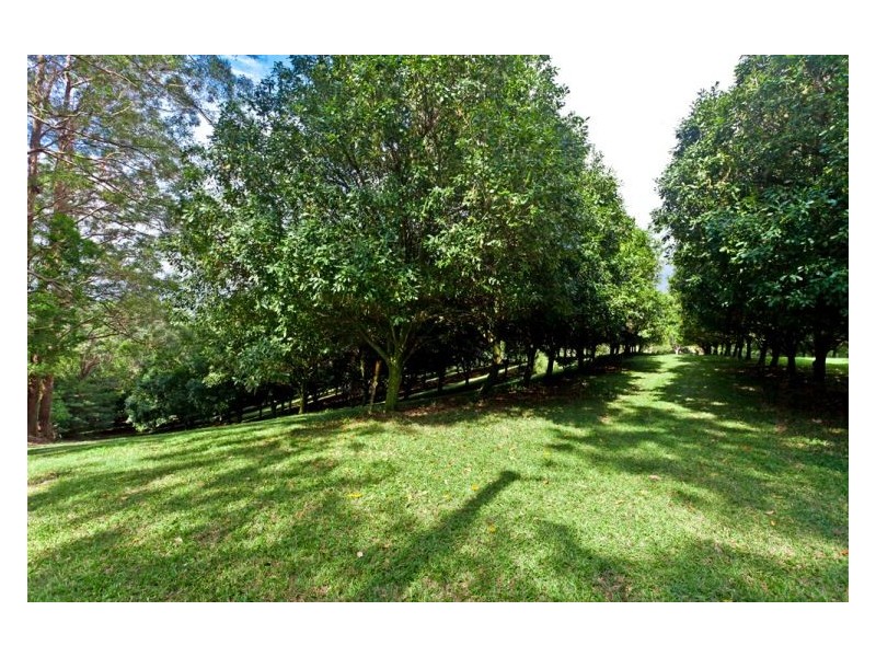 22 Alphadale Road, Lindendale NSW 2480