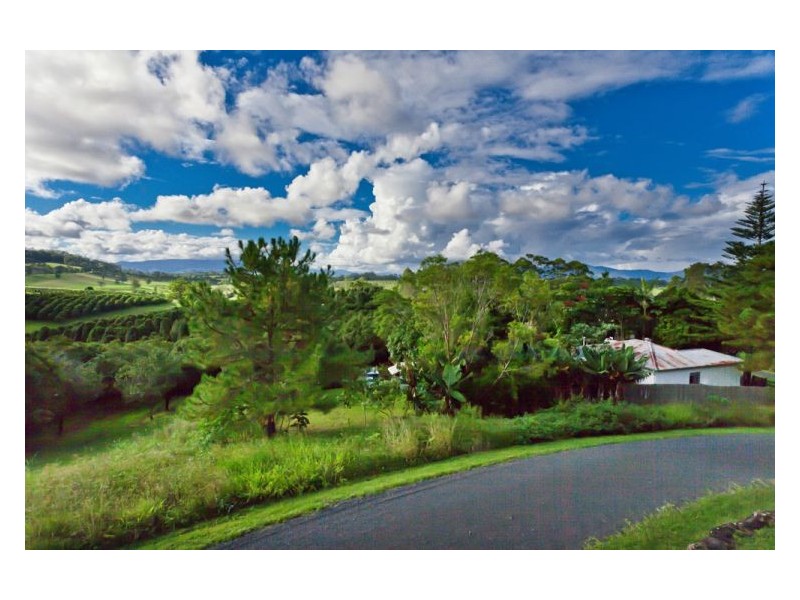 557 Mountain Top Road, Georgica NSW 2480