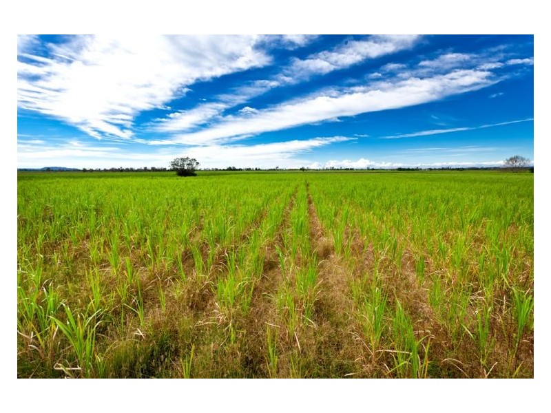 30 Old Ferry Road, Swan Bay NSW 2471