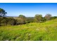 1709 Wyrallah Road, Tuckurimba NSW 2480