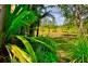 996 Keerrong Road, Keerrong NSW 2480