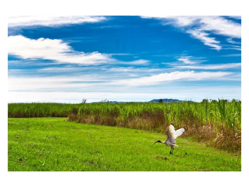 30a Old Ferry Road, Swan Bay NSW 2471